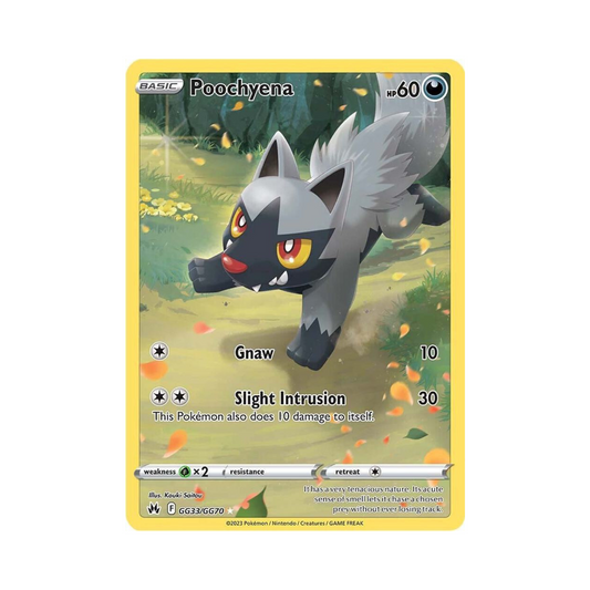 GG33 Poochyena - CZ:GG (NM)