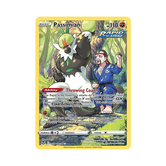 TG08 Passimian - SWSH12:TG (NM)